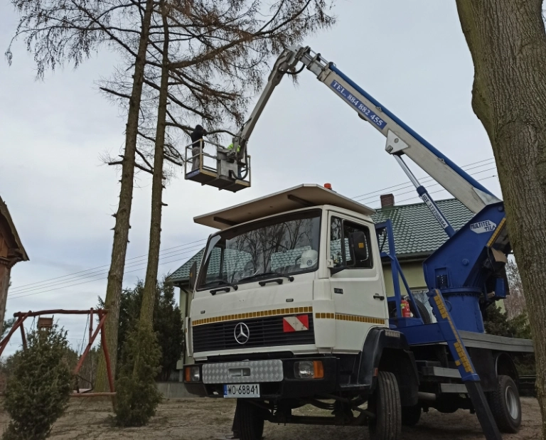 podnośnik koszony, drzewo